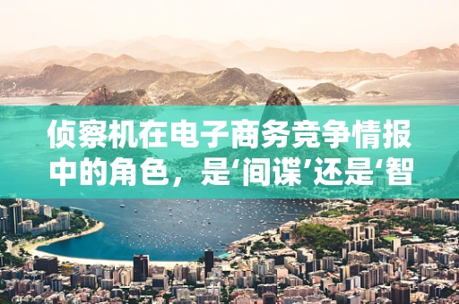 侦察机在电子商务竞争情报中的角色，是‘间谍’还是‘智囊’？