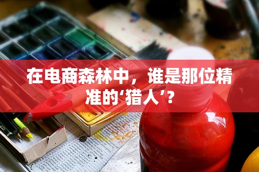 在电商森林中，谁是那位精准的‘猎人’？