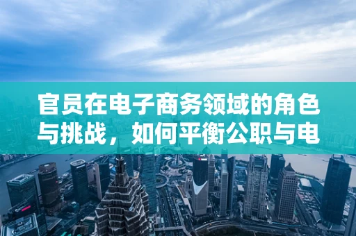 官员在电子商务领域的角色与挑战，如何平衡公职与电商创新？