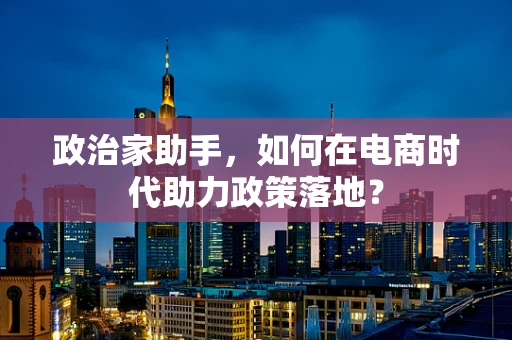 政治家助手，如何在电商时代助力政策落地？