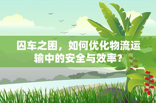 囚车之困，如何优化物流运输中的安全与效率？