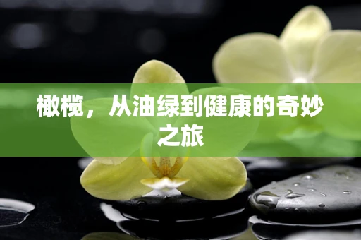 橄榄，从油绿到健康的奇妙之旅