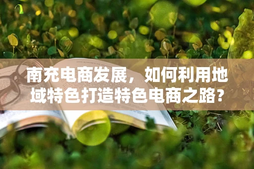 南充电商发展，如何利用地域特色打造特色电商之路？