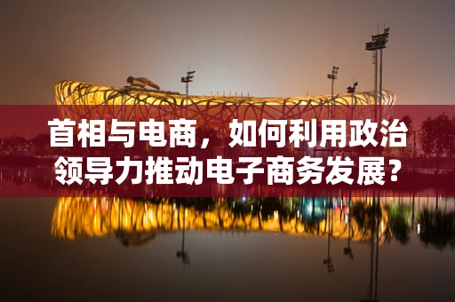 首相与电商，如何利用政治领导力推动电子商务发展？