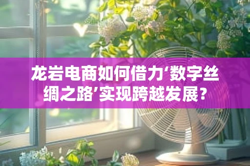 龙岩电商如何借力‘数字丝绸之路’实现跨越发展？