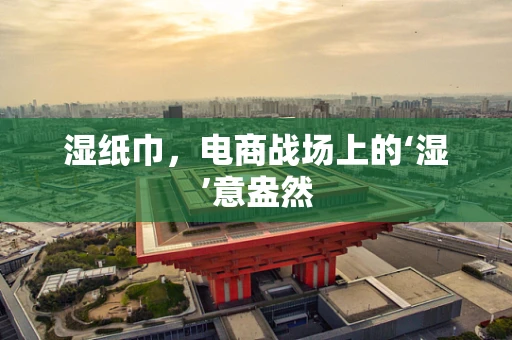 湿纸巾，电商战场上的‘湿’意盎然