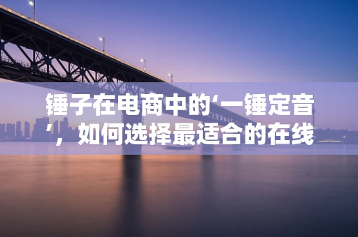 锤子在电商中的‘一锤定音’，如何选择最适合的在线购物工具？
