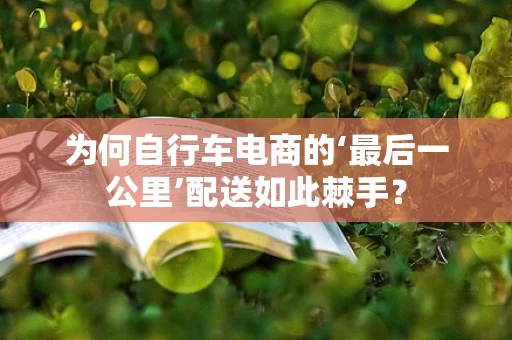 为何自行车电商的‘最后一公里’配送如此棘手？