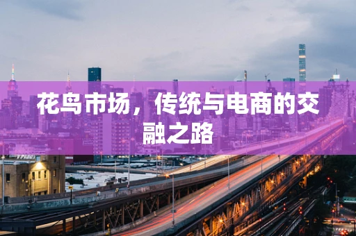 花鸟市场，传统与电商的交融之路