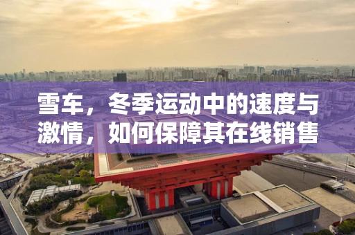 雪车，冬季运动中的速度与激情，如何保障其在线销售的安全与高效？