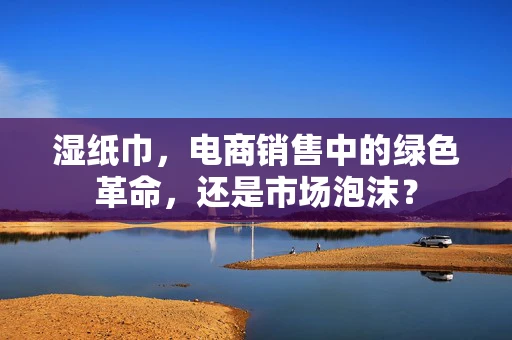 湿纸巾，电商销售中的绿色革命，还是市场泡沫？