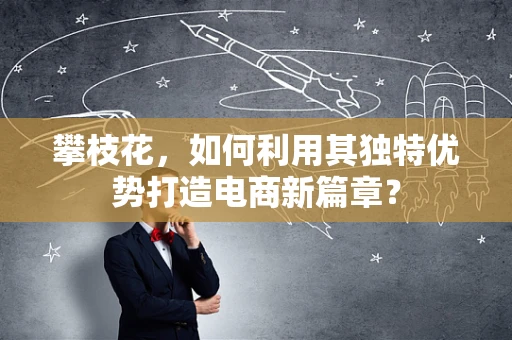 攀枝花，如何利用其独特优势打造电商新篇章？