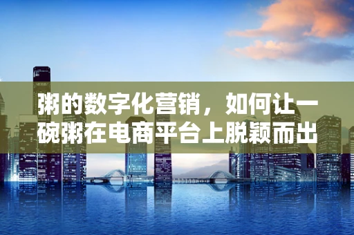 粥的数字化营销，如何让一碗粥在电商平台上脱颖而出？