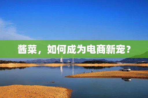 酱菜，如何成为电商新宠？