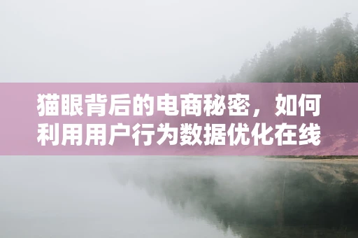 猫眼背后的电商秘密，如何利用用户行为数据优化在线购票体验？