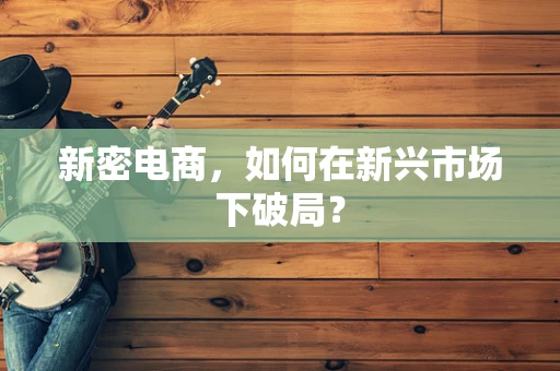 新密电商，如何在新兴市场下破局？