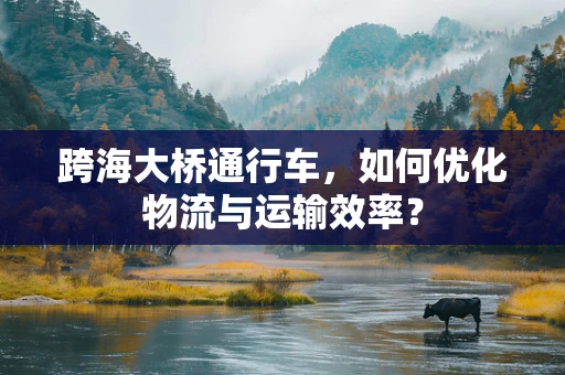 跨海大桥通行车，如何优化物流与运输效率？