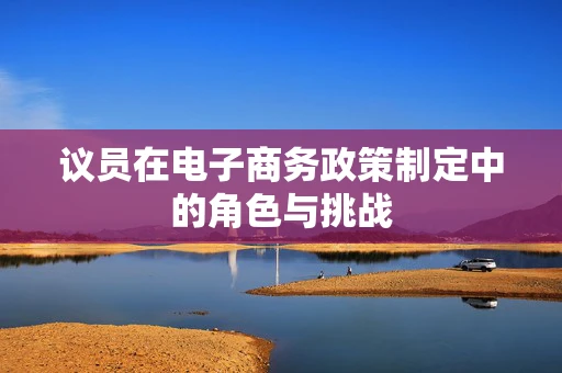议员在电子商务政策制定中的角色与挑战