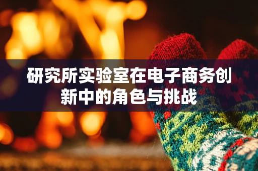 研究所实验室在电子商务创新中的角色与挑战