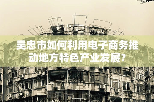 吴忠市如何利用电子商务推动地方特色产业发展？