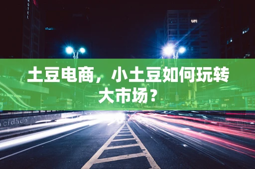 土豆电商，小土豆如何玩转大市场？