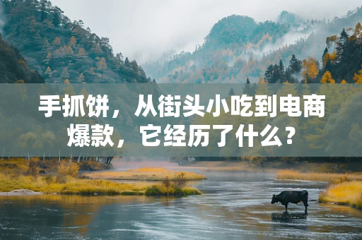 手抓饼，从街头小吃到电商爆款，它经历了什么？