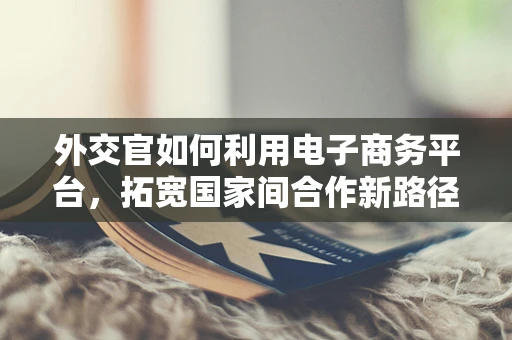 外交官如何利用电子商务平台，拓宽国家间合作新路径？