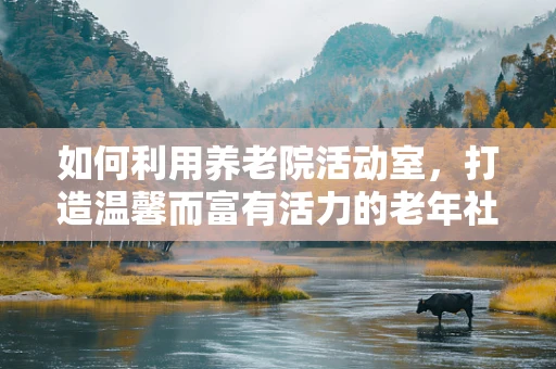 如何利用养老院活动室，打造温馨而富有活力的老年社交空间？