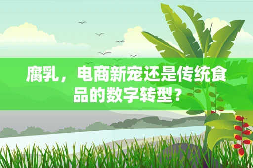 腐乳，电商新宠还是传统食品的数字转型？