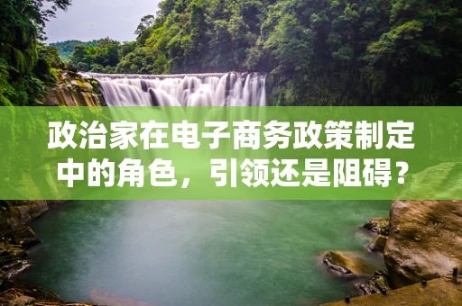 政治家在电子商务政策制定中的角色，引领还是阻碍？